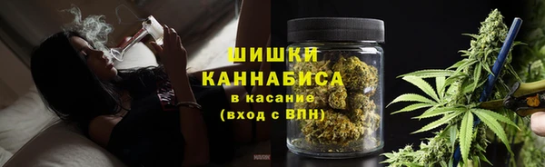 хмурый Касимов