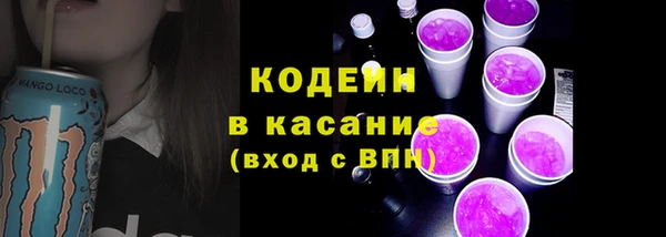 хмурый Касимов