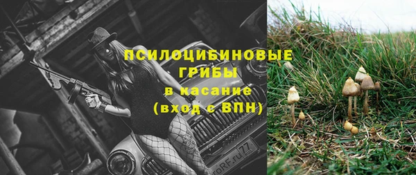apvp Карталы