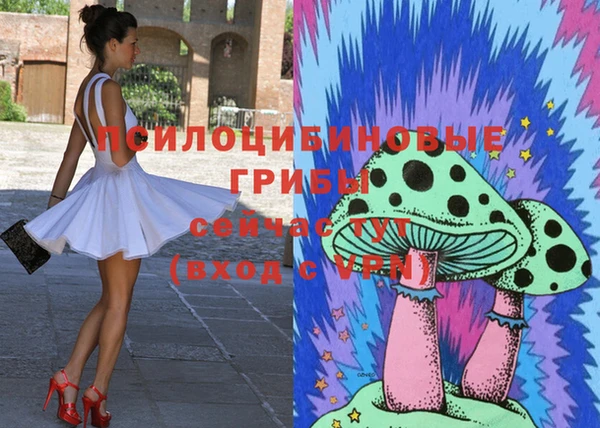 apvp Карталы