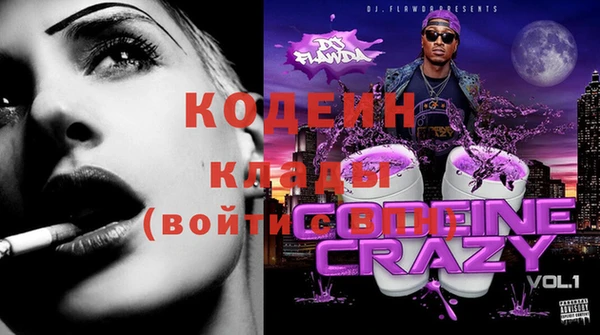 хмурый Касимов