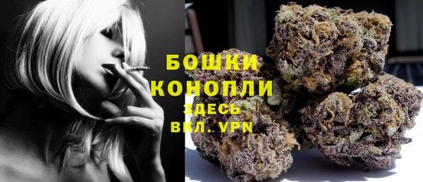 хмурый Касимов