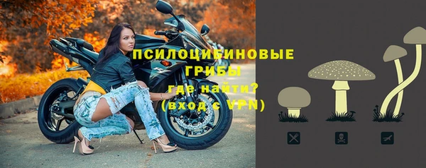 a pvp Карпинск