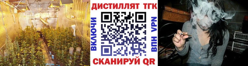 Дистиллят ТГК THC oil  Купить где  Аша 